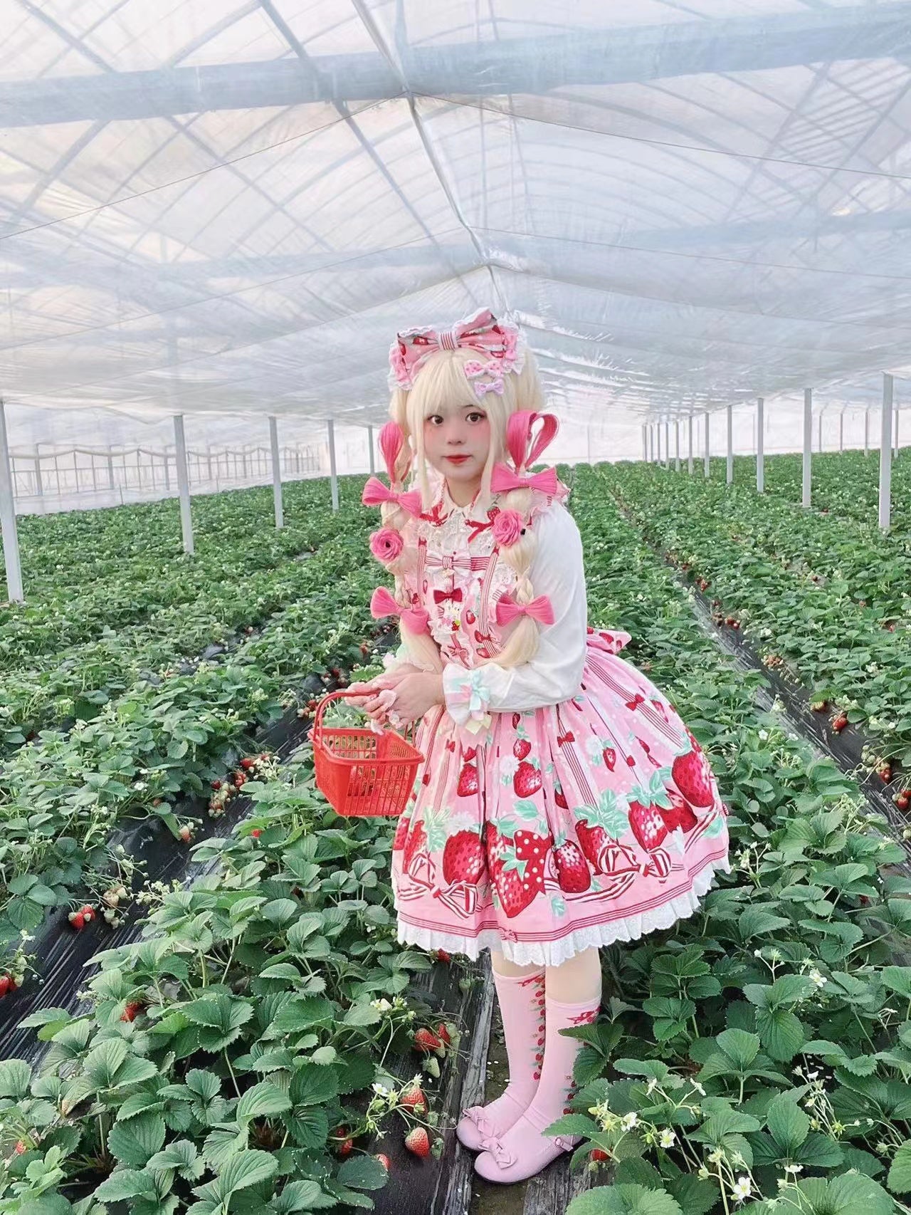 Sweet Strawberry Lolita Stockings