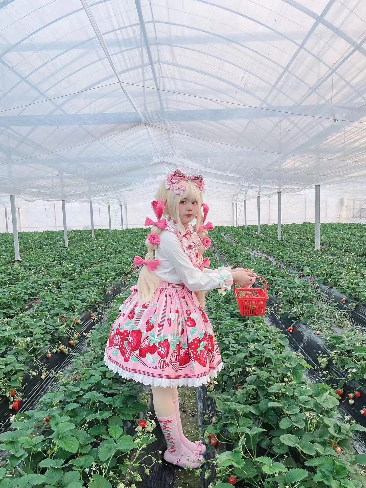 Sweet Strawberry Lolita Stockings