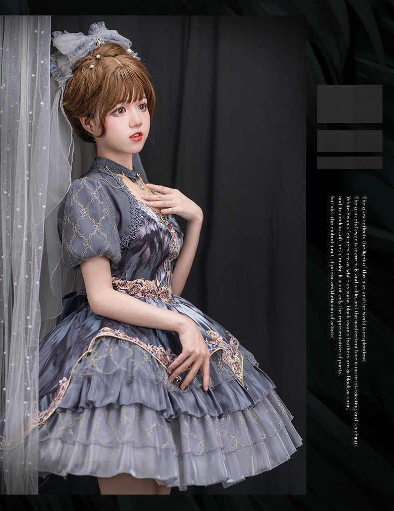 JSK Full Set ♥Pre-order 1 month♥Black Swan Grey Feather ♥Gothic Lolita Dress