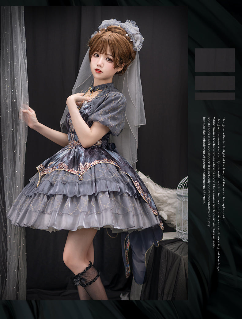JSK Full Set ♥Pre-order 1 month♥Black Swan Grey Feather ♥Gothic Lolita Dress