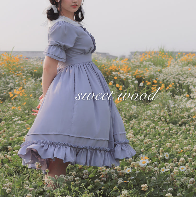 OP Dress♥Ready to Ship♥ Lola's Diary♥Sweet Lolita Dress