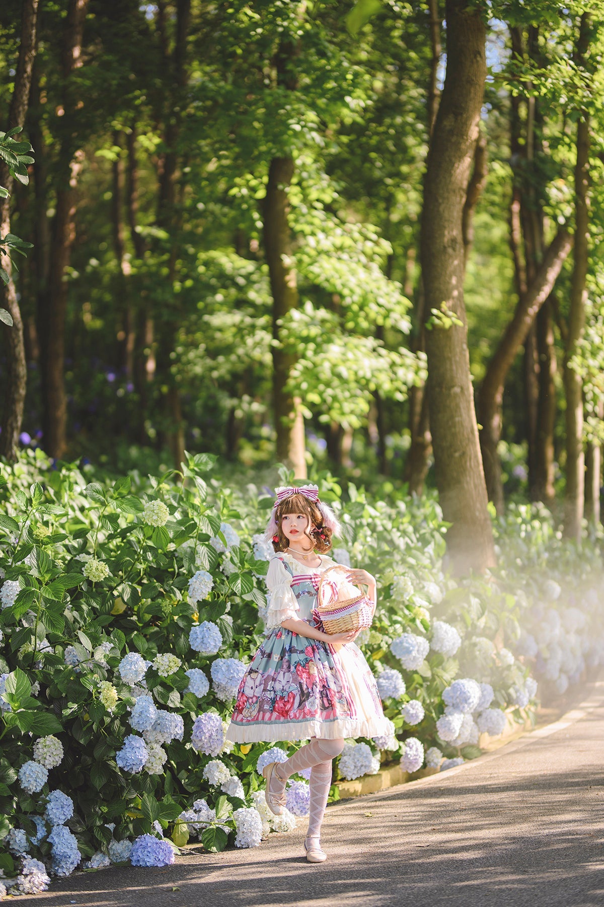 JSK♥Ready to Ship♥Hamster's Gift♥Classic and Sweet Lolita Dress